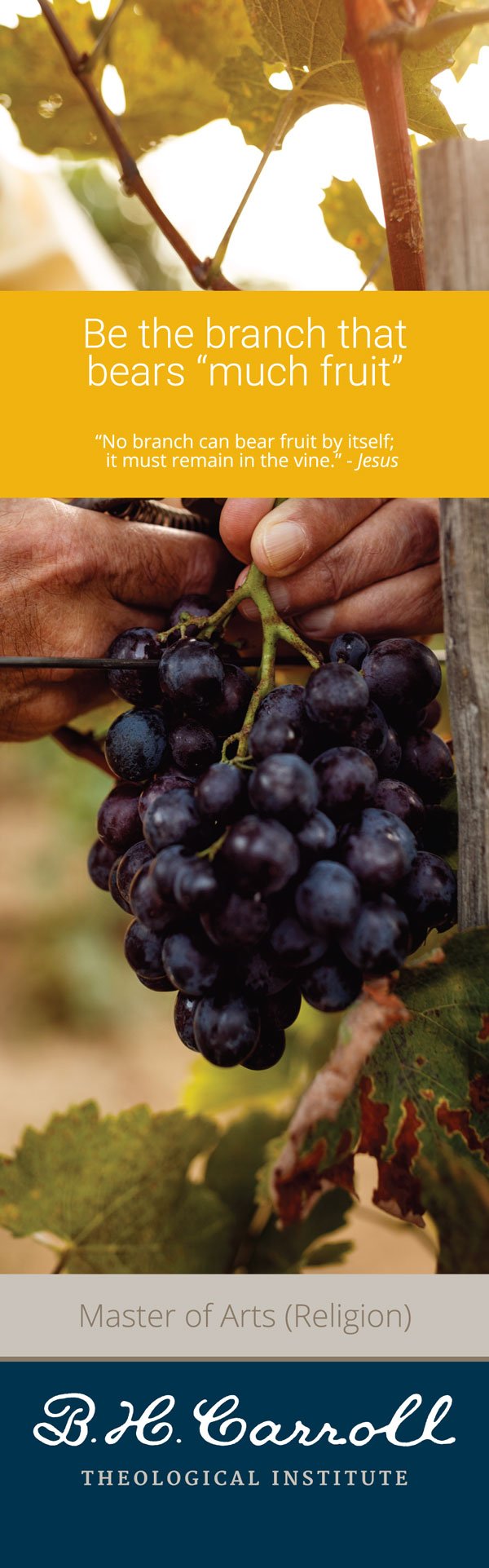 B. H. Carroll Theological Institute - Banner Designs
