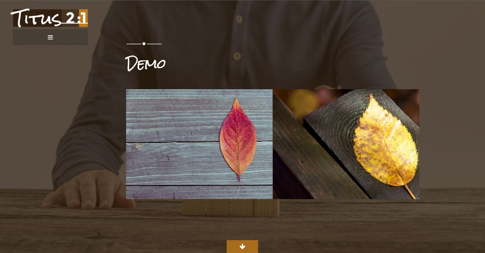 Titus 2:1 Promotional Site