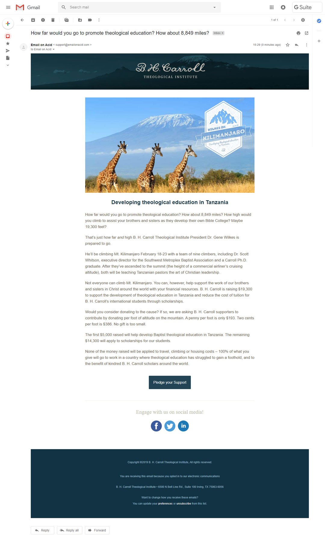 Wilkes on Kilimanjaro - Email Designs
