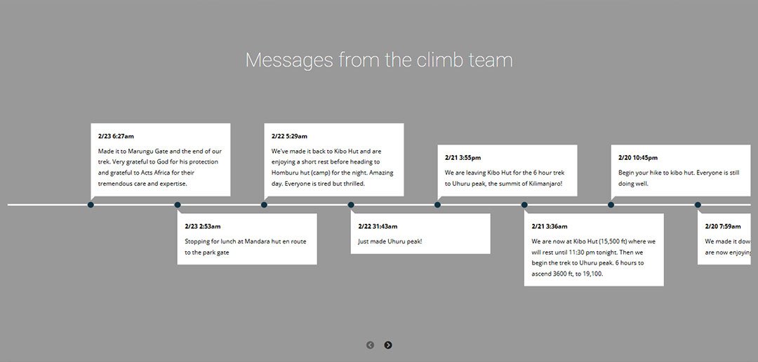 Wilkes on Kilimanjaro - Website Design